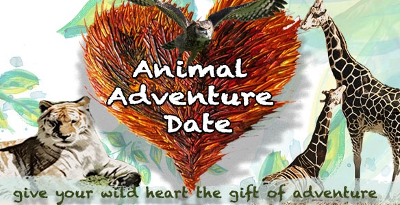 Wild Heart Animal Adventures - Online Auction Feb 4 - Feb 6 : Alabama Gulf  Coast Zoo