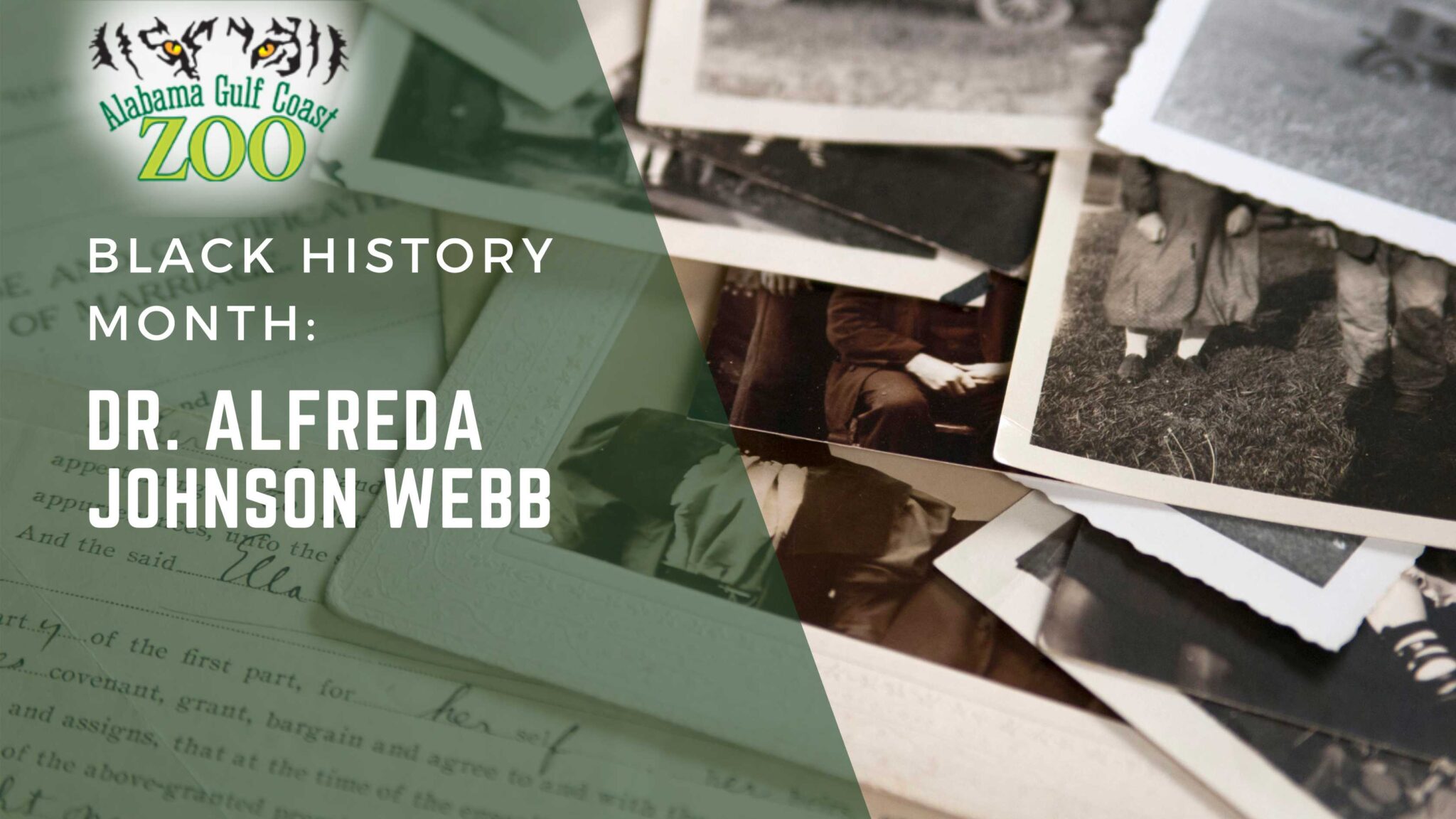 Black History Month Dr. Alfreda Johnson Webb AL Gulf Coast Zoo