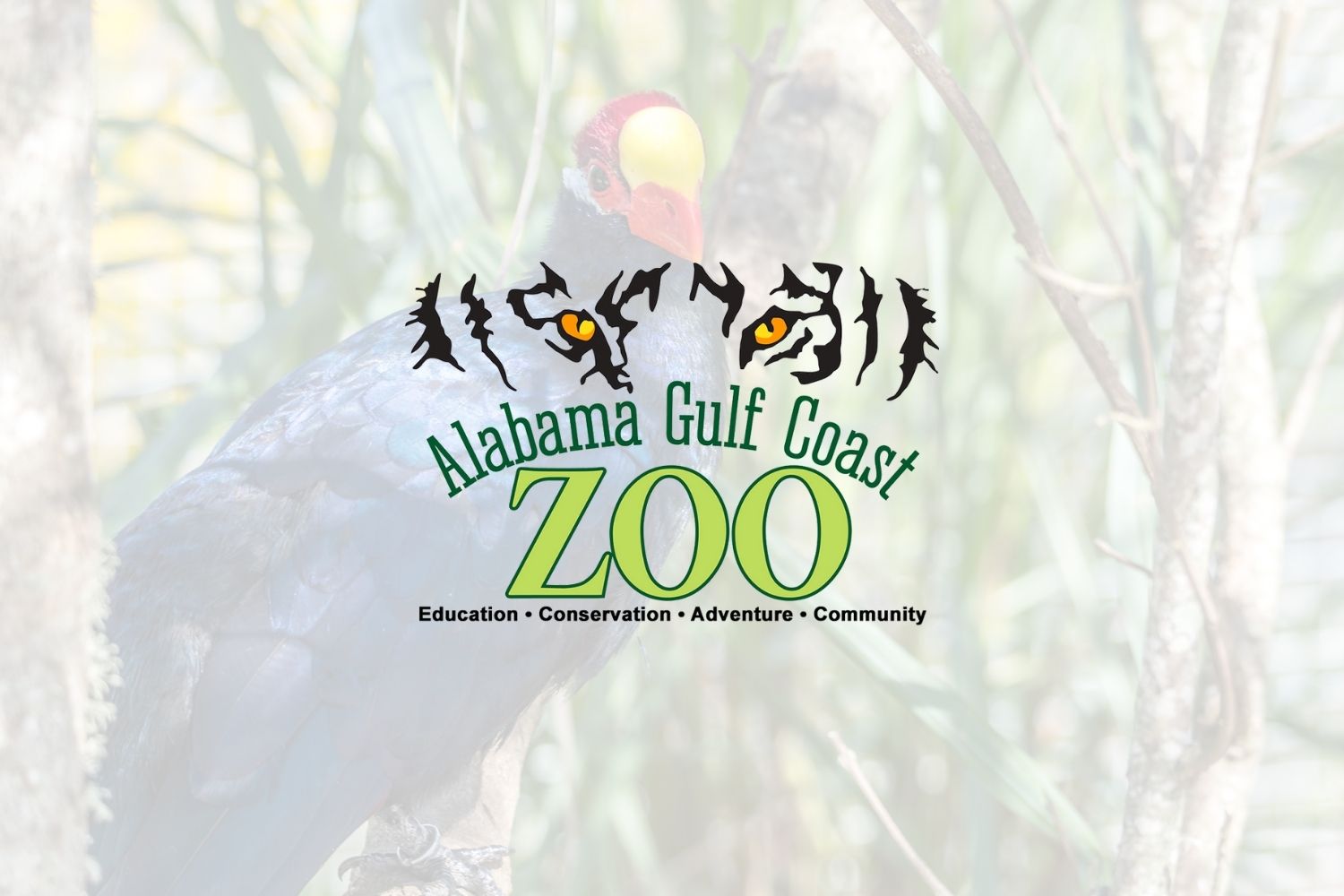 Directions 2 - AL Gulf Coast Zoo