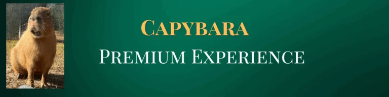 Capybara Premium Experience