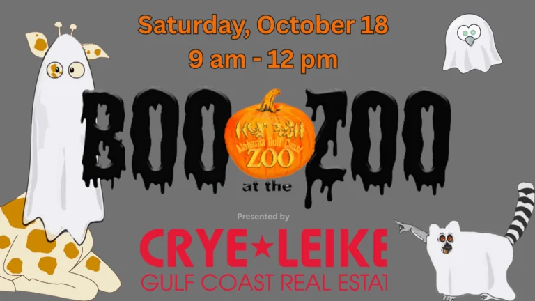Saturday, October 18 9 am - 12 pm (1)