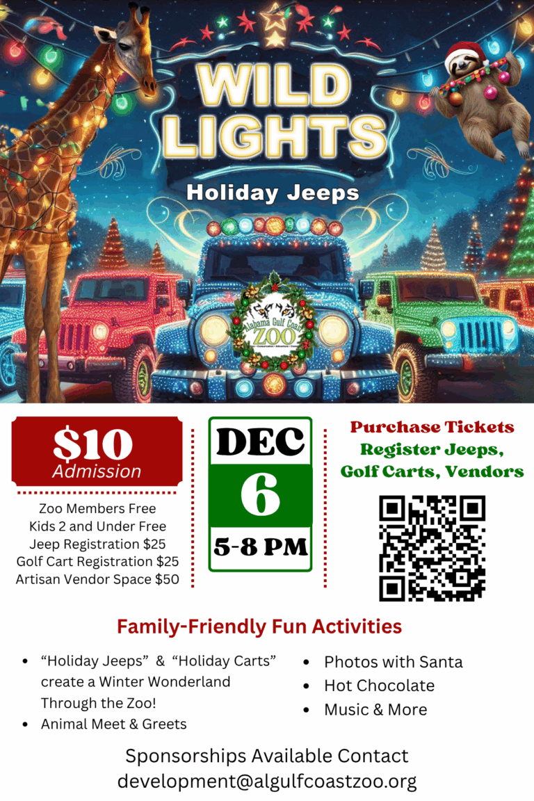 WildLights - Small Handout Flyer