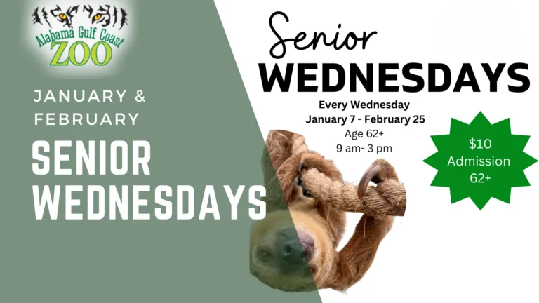 Copy of Zoo News Banner (1)