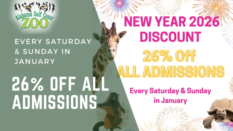 Copy of Zoo News Banner (2)