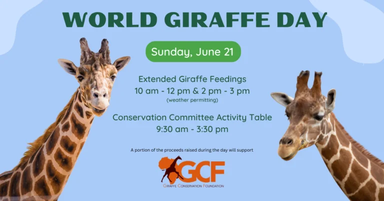 World Giraffe Day