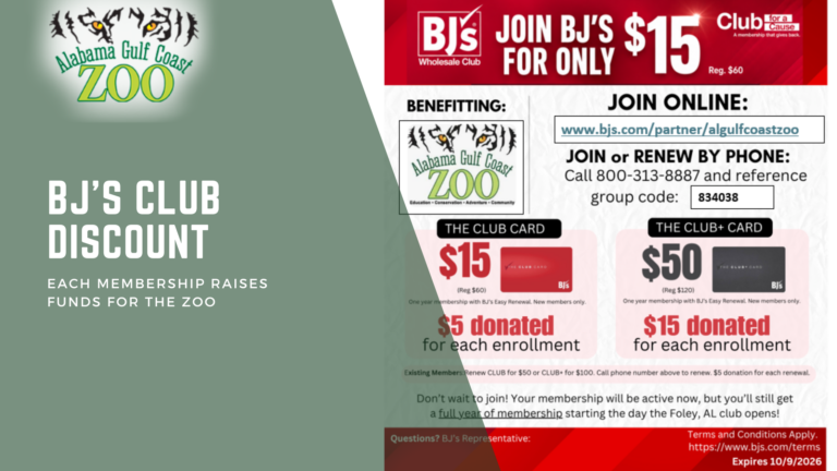 BJs Discount